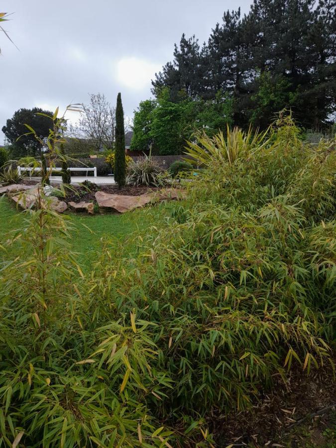 Chambre Dans Un Ecrin De Verdure Panzió Angrie Kültér fotó