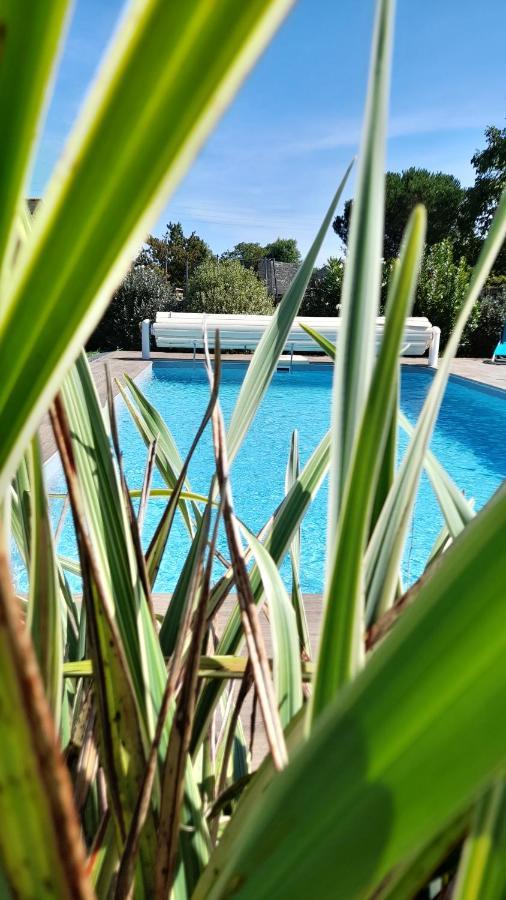 Chambre Dans Un Ecrin De Verdure Panzió Angrie Kültér fotó