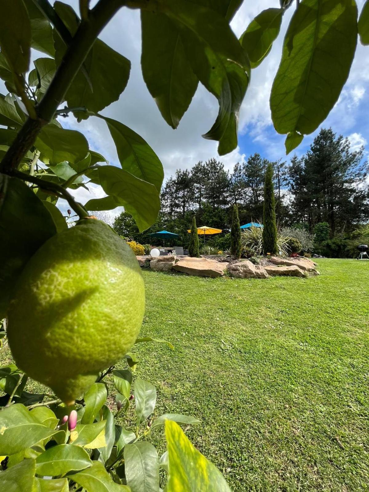 Chambre Dans Un Ecrin De Verdure Angrie Kültér fotó