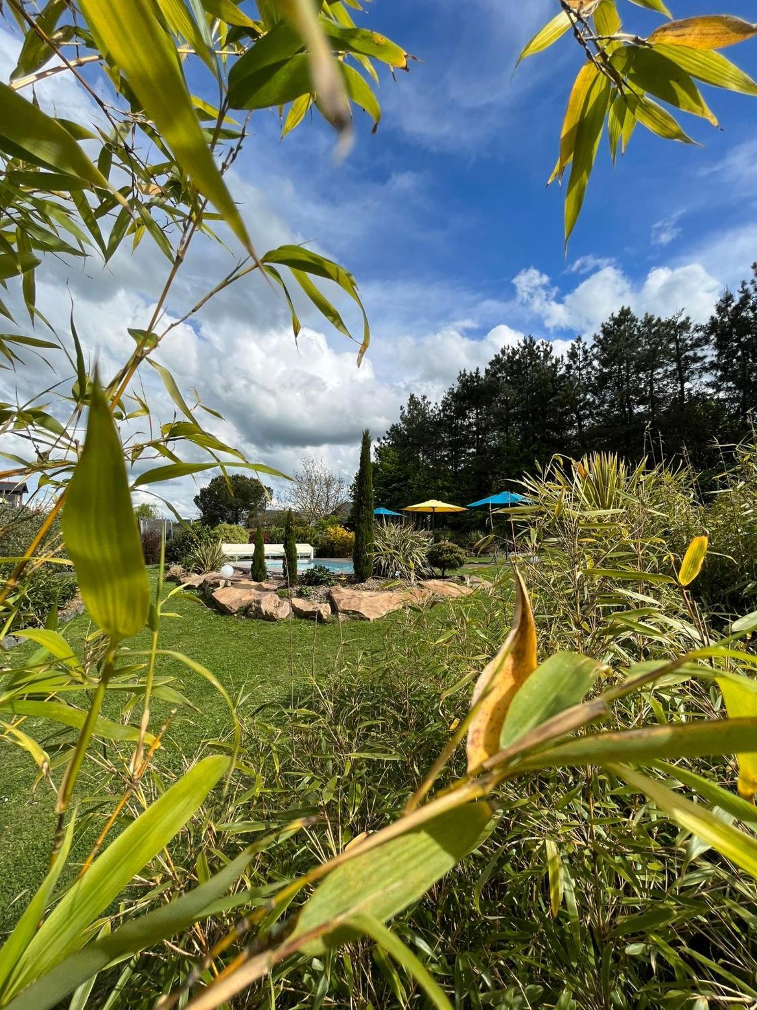 Chambre Dans Un Ecrin De Verdure Angrie Kültér fotó