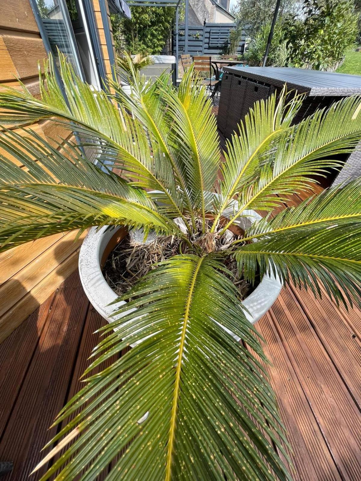 Chambre Dans Un Ecrin De Verdure Panzió Angrie Kültér fotó